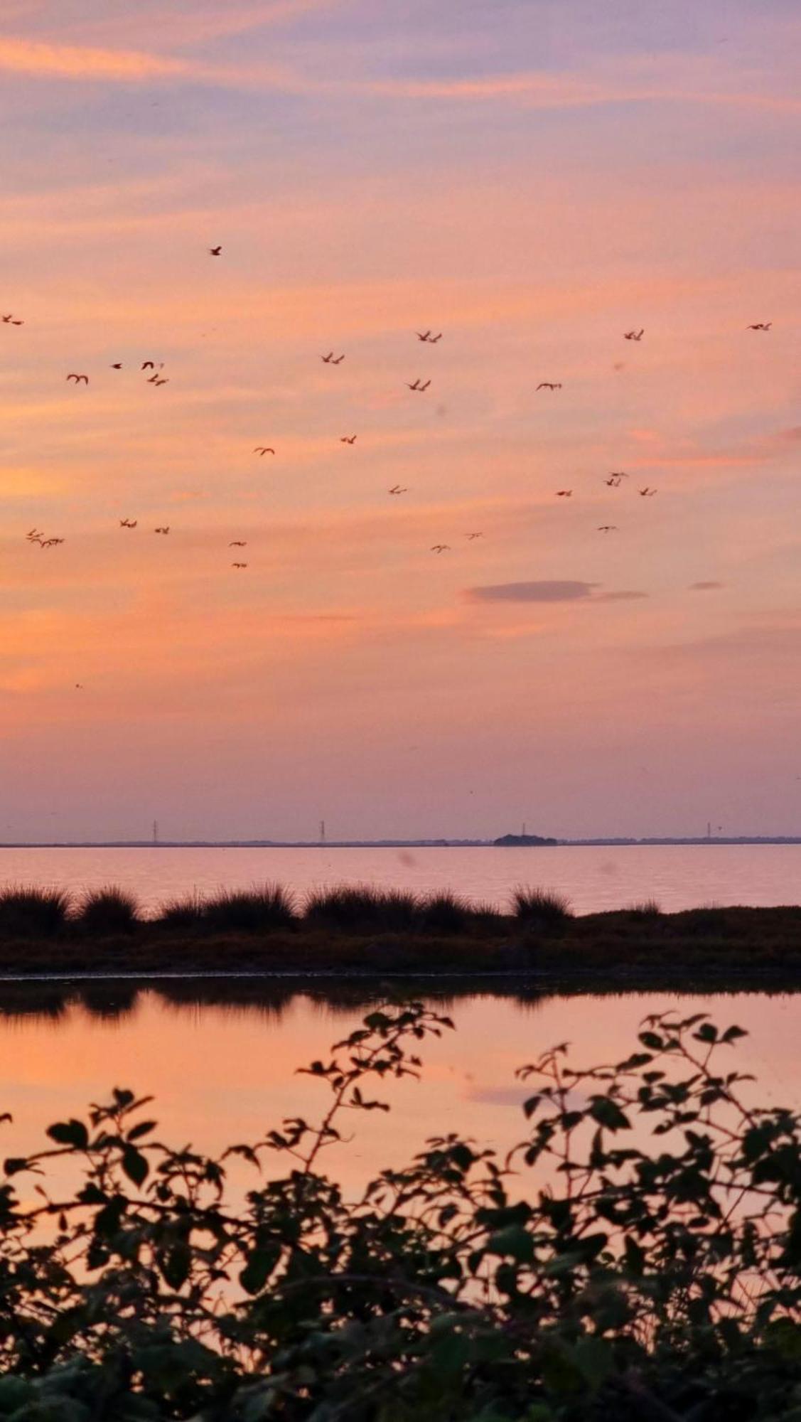 Al Ponticello Bed & Breakfast Comacchio Luaran gambar