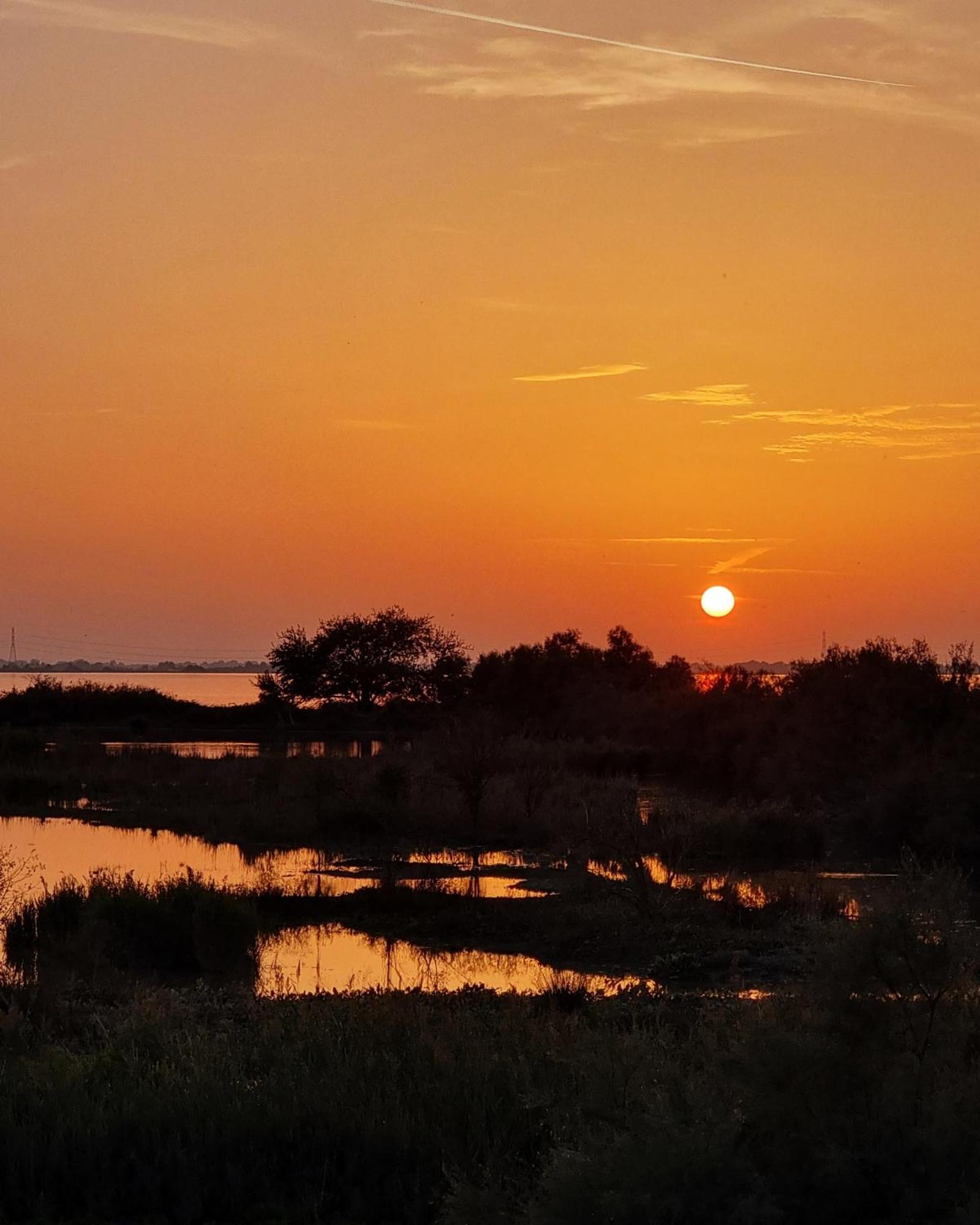 Al Ponticello Bed & Breakfast Comacchio Luaran gambar